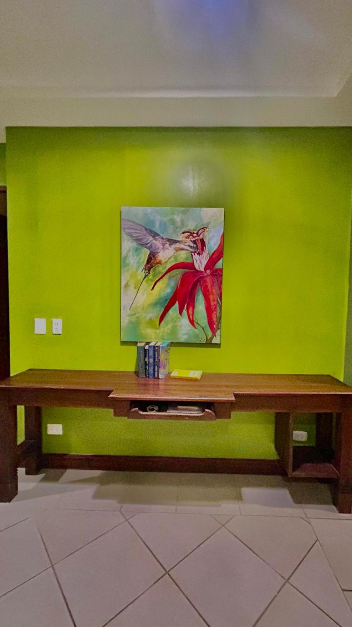 Villa Vista Mar 多米尼克 外观 照片