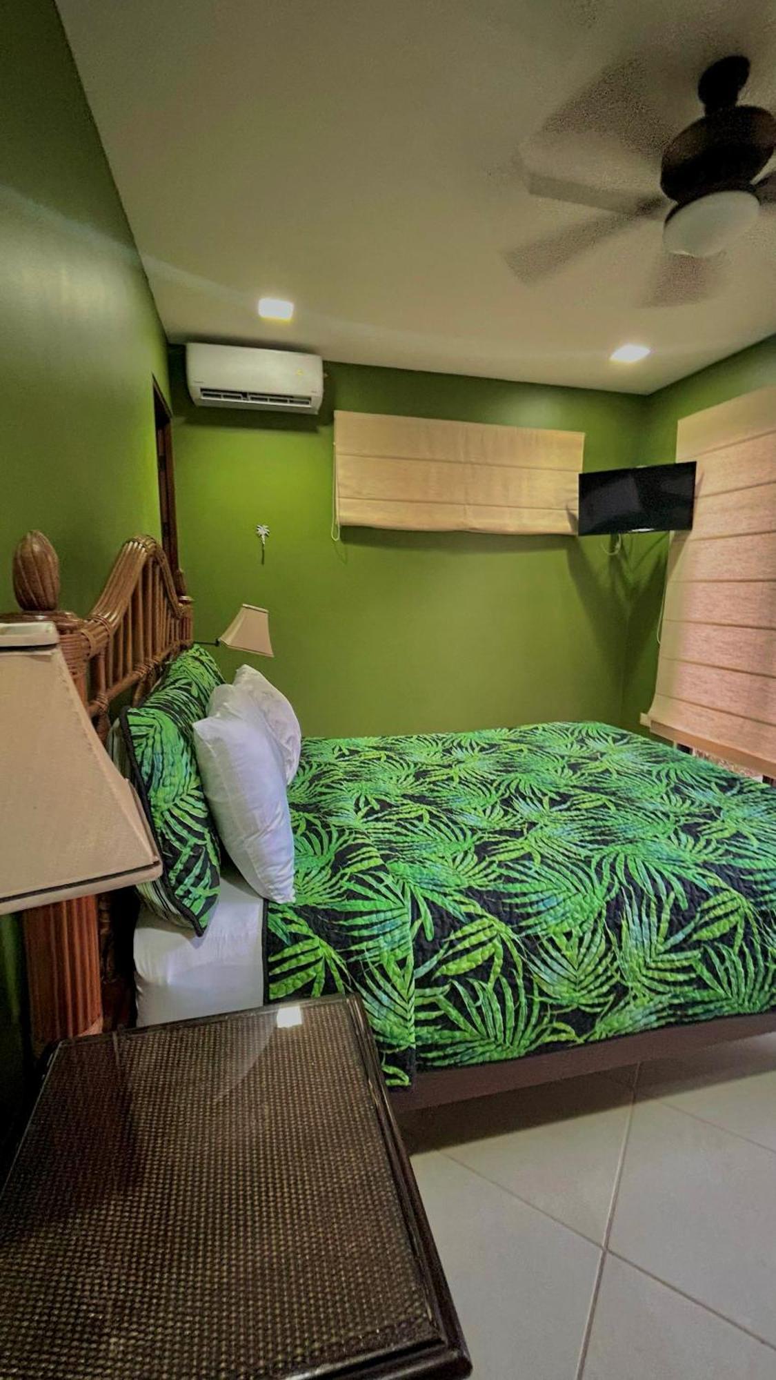 Villa Vista Mar 多米尼克 外观 照片