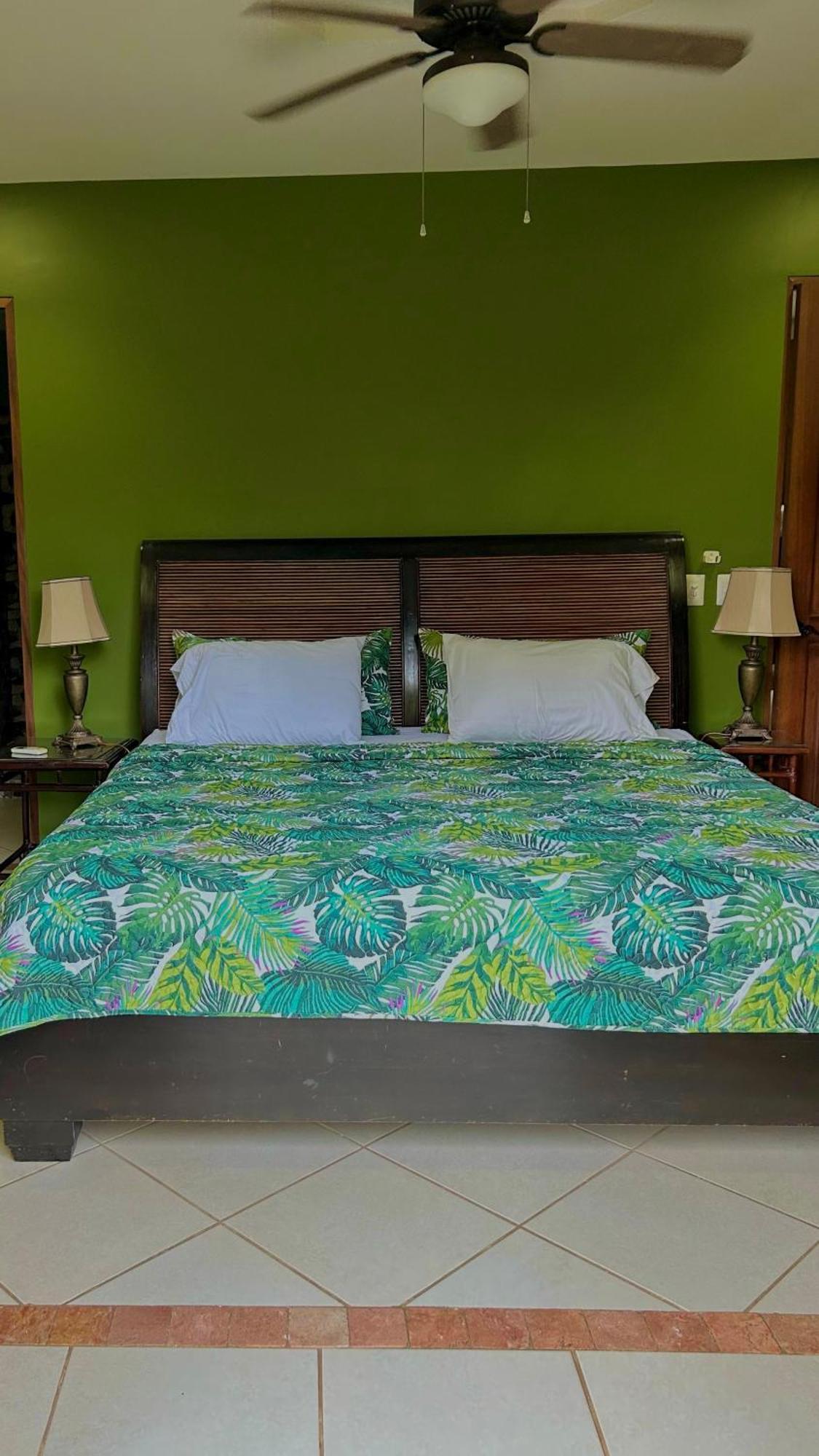 Villa Vista Mar 多米尼克 外观 照片