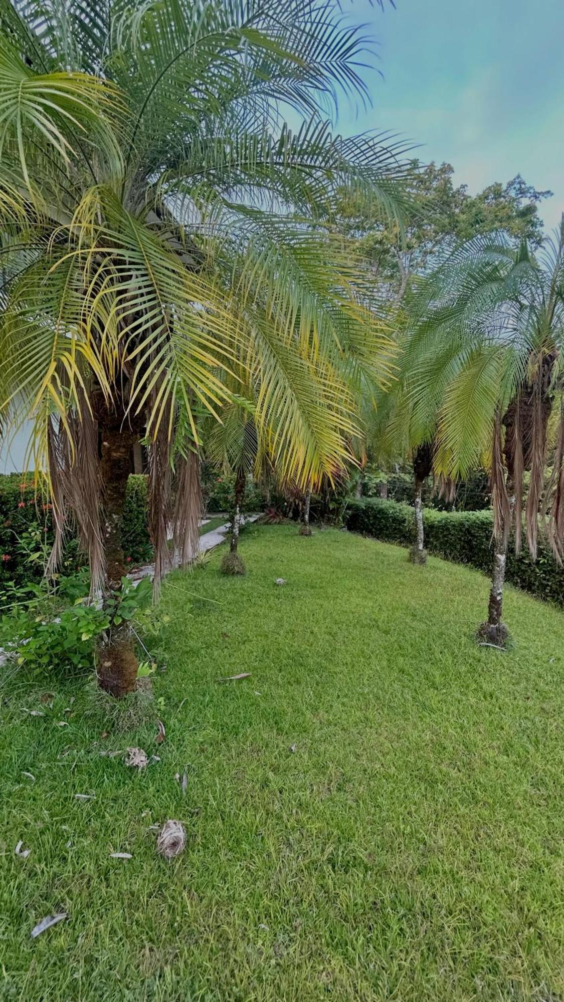 Villa Vista Mar 多米尼克 外观 照片